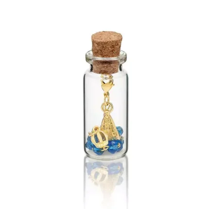 pulseira-na-garrafinha-medalha-de-nossa-senhora-aparecida